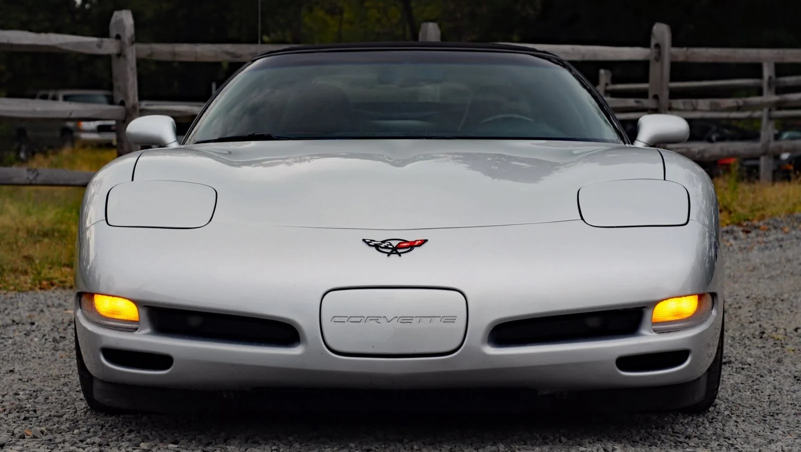 Click to Enlarge-Esc to Close Corvette Generations/C5/C5 1999 Pewter front 2.webp